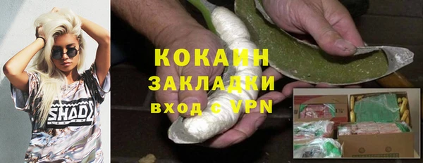 дживик Алексин
