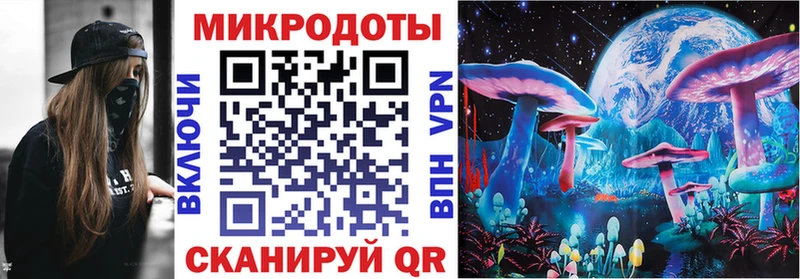 mega зеркало  Медынь  Галлюциногенные грибы прущие грибы  где купить  